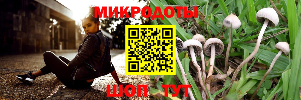 Галлюциногенные грибы Magic Shrooms Воркута